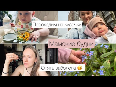 Видео: Мамские будни, Как перейти на кусочки 🥦