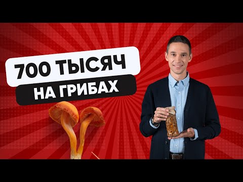 Видео: ЧТО ПРОДАЮТ В МАГАЗИНАХ ВМЕСТО ГРУЗДЕЙ И ОПЯТ | КАК САМИМ ЗАГОТОВИТЬ ГРИБЫ НА ЗИМУ