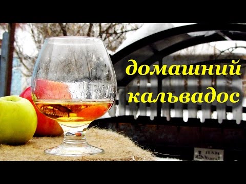 Видео: Рецепт кальвадоса в домашних условиях от Алкофана