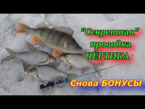Видео: "Секретная" проводка чёртика. Снова КРУПНЫЕ окуни в прилове  !!!