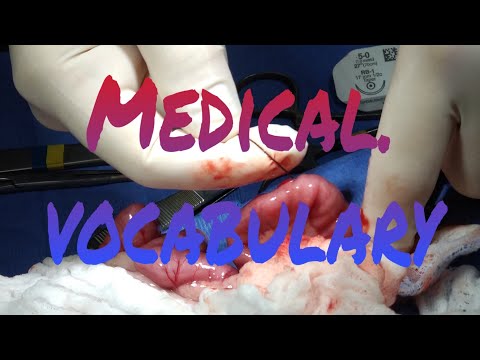 Видео: Медицинские термины на английском. Что нужно знать для работы в клинике. #ветеринарвсша