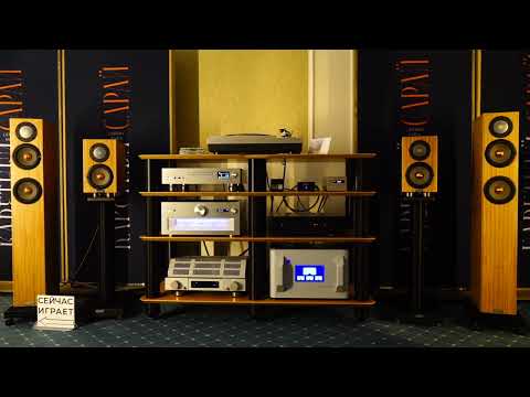 Видео: Penaudio на выставке Хайфай Хайенд Шоу 2025 Москва Бородино