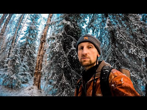 Видео: РАЗБОЙ - ПРОТИВОСТОЯНИЕ!БЕЛКУ НАДО?ЛОСЬ СОРВАЛ ПЛАНЫ.