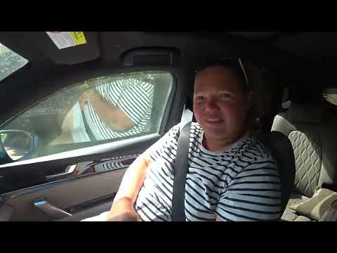 Видео: По грунтовке к п. Ольга Приморского края 18.08.2025 года