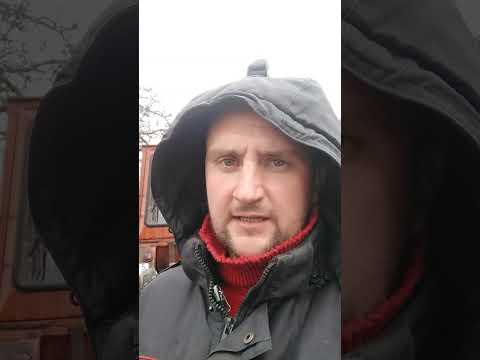 Видео: чеснок Несвиж