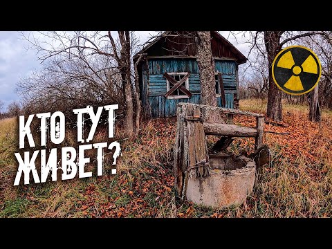 Видео: Нашел дом чернобыльского отшельника в заброшенной деревне. Как мы добываем еду в Зоне Отчуждения?