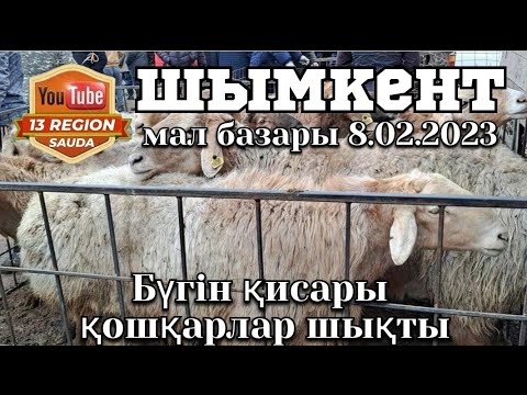 Видео: 8.02.2023 Шымкент мал базары