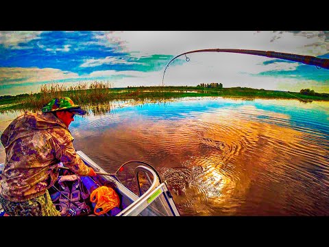 Видео: НЕ МОГУ ПОДНЯТЬ ЭТУ РЫБУ! Окунь крупнее щуки, удачная рыбалка!