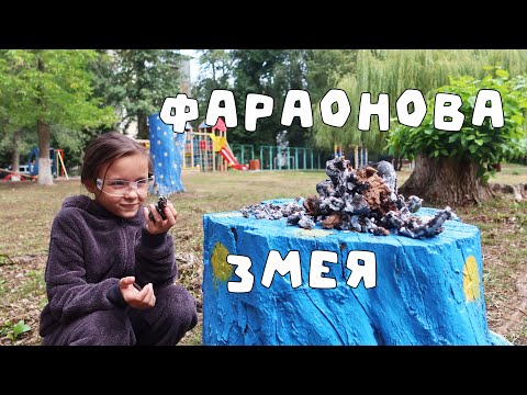 Видео: ПЕПЕЛЬНЫЙ ДРАКОН 🐉 растущий вулкан / Эксперименты PRO опыты 7 в 1