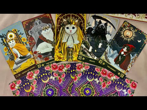 Видео: Обзор колоды «Muse Cat Tarot» 💜🌺💜😻💜🌺💜, авторская колода из Южной Кореи.