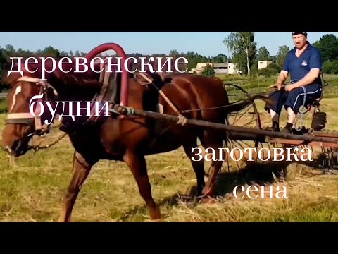 Видео: Ассорти из крестянских работ в горячую пору.