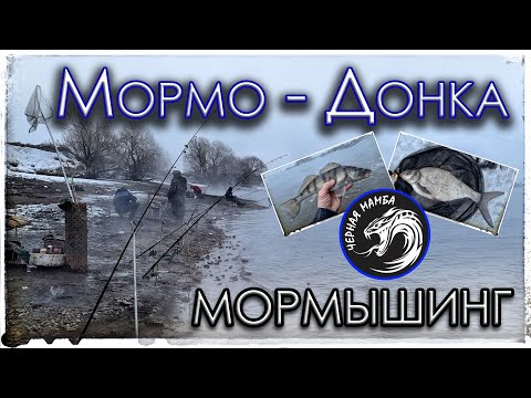 Видео: Мормо - донка. Мормышинг. Чёрная мамба 125 (0.2 - 0.8 г)
