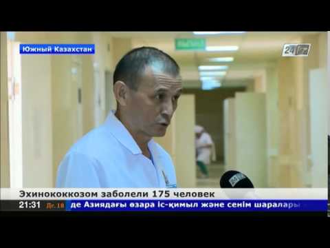 Видео: 175 человек заболели эхинококкозом в Южном Казахстане