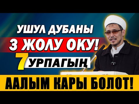 Видео: БУЛ ДУБАНЫ 3 ЖОЛУ ОКУ! 7 УРПАГЫҢ ААЛЫМ, КАРЫ БОЛОТ.