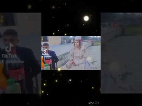 Видео: Богар Вена