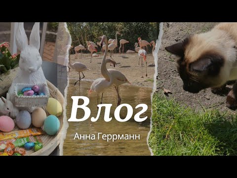 Видео: Весенний пасхальный День// Все рады хорошей погоды