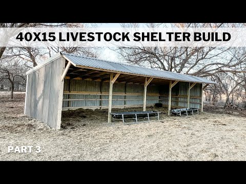 Видео: Строительство загона для скота 40x15 | Часть 3
