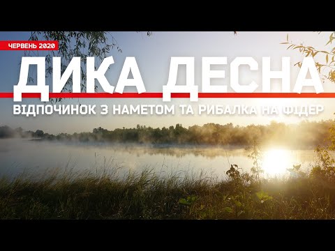 Видео: ВИЇЗД НА ДИКУ ДЕСНУ РИБАЛИТИ ФІДЕРОМ. ДОБА БЕЗ ЛЮДЕЙ. ЧЕРВЕНЬ 2020.