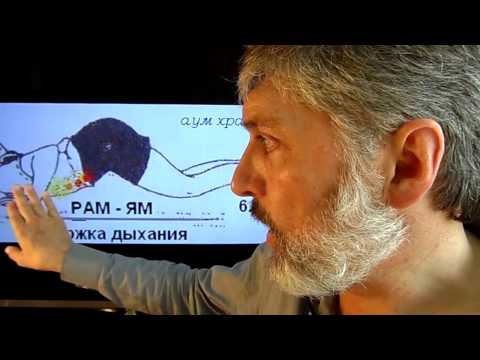 Видео: Сурья Намаскар 2.2.