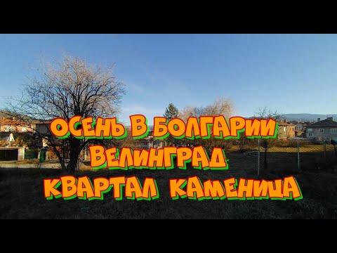 Видео: Осень в Болгарии - 24 ноября в Велинграде