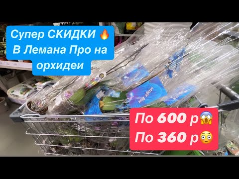 Видео: 🔵 ОБЗОР. СУПЕР СКИДКИ 🔥 В ЛеманаПро на орхидеи #обзорорхидей #обзорлемана #орхидеискидки #скидкиорхи