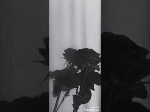 Видео: escape - Не похожи(slowed)