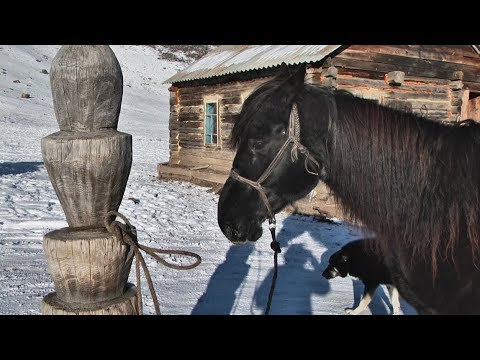 Видео: "НУ и НУ!": село Купчегень, часть 4 (Бийское телевидение)