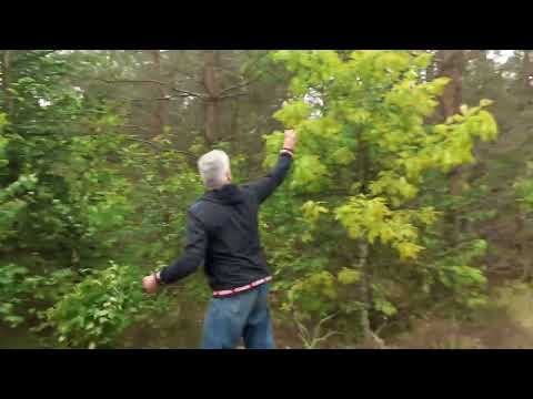 Видео: 11 сентября 2025 г.
