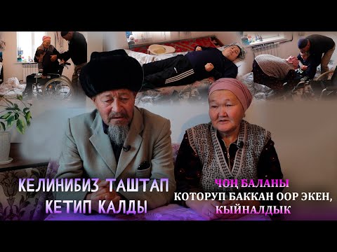 Видео: Жаш баладай тамак берип, колго тосуп 5 жылдан бери багып жатабыз