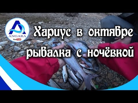 Видео: Рыбалка. Хариус в октябре. Тайга. Канал Ангара.