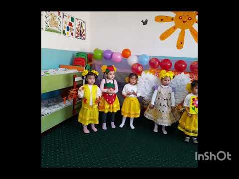 Видео: 2 ноября 2025 г.