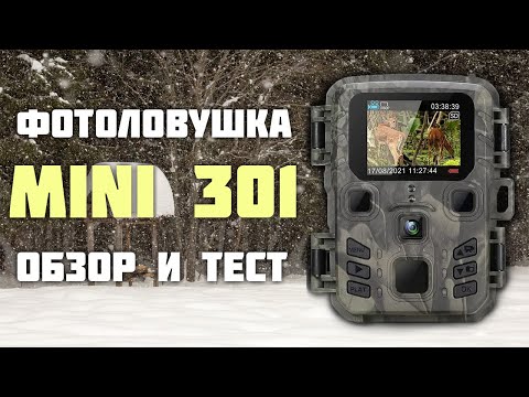 Видео: Фотоловушка MINI301. Обзор и тест.