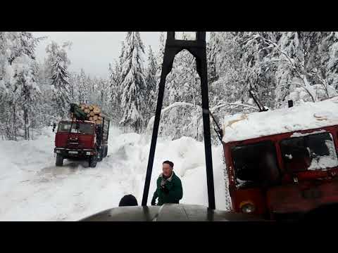 Видео: Покатушки за лесом Камазы не едут в подъёмы Опасные лесные дороги