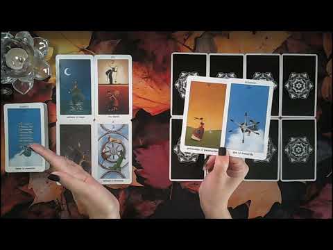 Видео: Рыбы СЛЕДУЮЩИЕ 7 ДНЕЙ♓Все пойдет лучше, чем вы ожидали🤯🤩Секрет раскрыт👀💥Встреча со страхом ведет ...