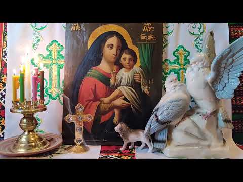 Видео: Эксклюзив! Двенадцать святых кругов Богородицы. Большая Защитная Вычитка