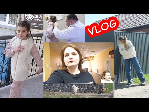 Видео: VLOG Он предатель. Луна сбежала. Зубов нет, чем кусать?!