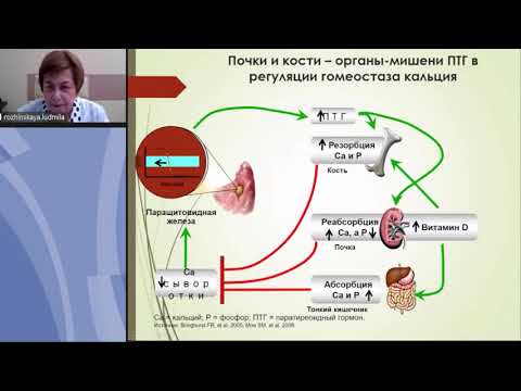 Видео: Диагностика и лечение вторичного гиперпаратиреоза у пациентов на додиализных стадиях ХБП