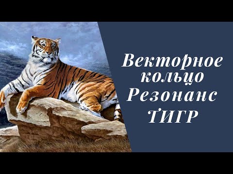 Видео: Китайский гороскоп: векторное кольцо. Резонанс. Тигр.