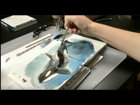 Видео: Бесплатный урок по рисованию. Скетчинг.  Акварель, маркеры, тушь. Как нарисовать косатку? (отрывок)