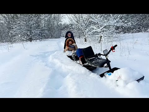 Видео: В ЗАБРОШЕННОЙ деревне на мотособаке. Проверили все дома и то,что осталось от школы.