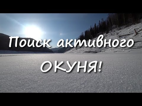 Видео: Клёв рыбы и перемена погоды Поиск активного ОКУНЯ!