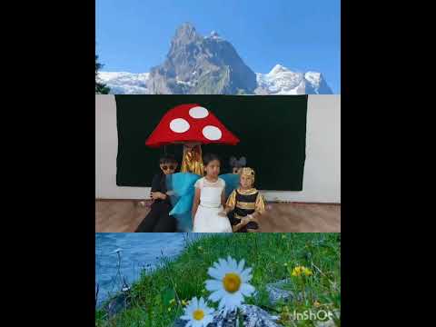 Видео: Қызылжұлдыз негізгі орта мектебінің " Саңырауқұлақ" ертегісі. 3-4-сыныптар