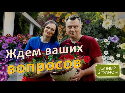 Видео: НУ ВОТ И ВСЕ! Прощаемся с отдыхом! НОВЫЙ СЕЗОН