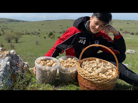 Видео: ПОМОГИТЕ УНЕСТИ ВСЕ ГРИБЫ! Рядовка майская не дает уехать