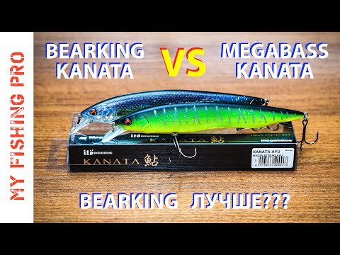 Видео: Обзор и тест BEARKING MEGABASS KANATA. Сравнение с ОРИГИНАЛОМ. Bearking лучше???