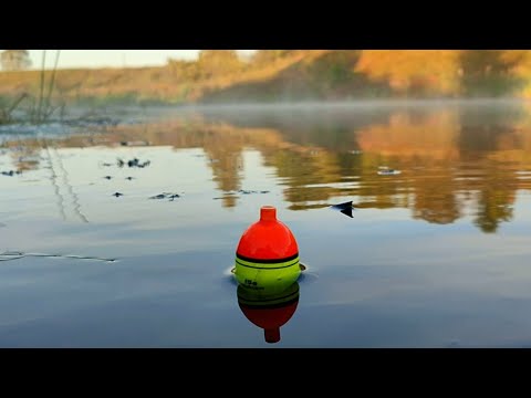 Видео: ОСЕННИЙ ЖОР ЩУКИ Рыбалка на поплавок