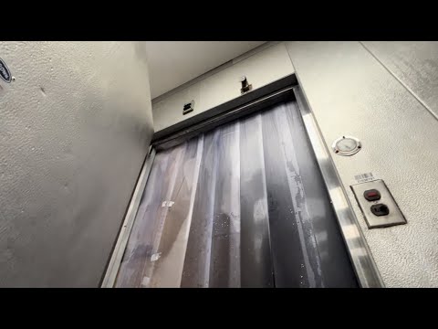 Видео: Зимняя страна чудес и веер от дохлых мух.