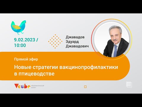 Видео: Новые стратегии вакцинопрофилактики в птицеводстве