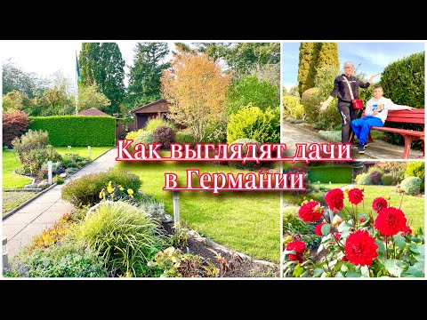 Видео: Дачи без калиток / Проходные Дачи / Красивые Немецкие Дачи