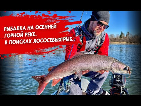 Видео: Рыбалка на осенней горной реке. Двухдневное путешествие в поисках лососевых рыб.